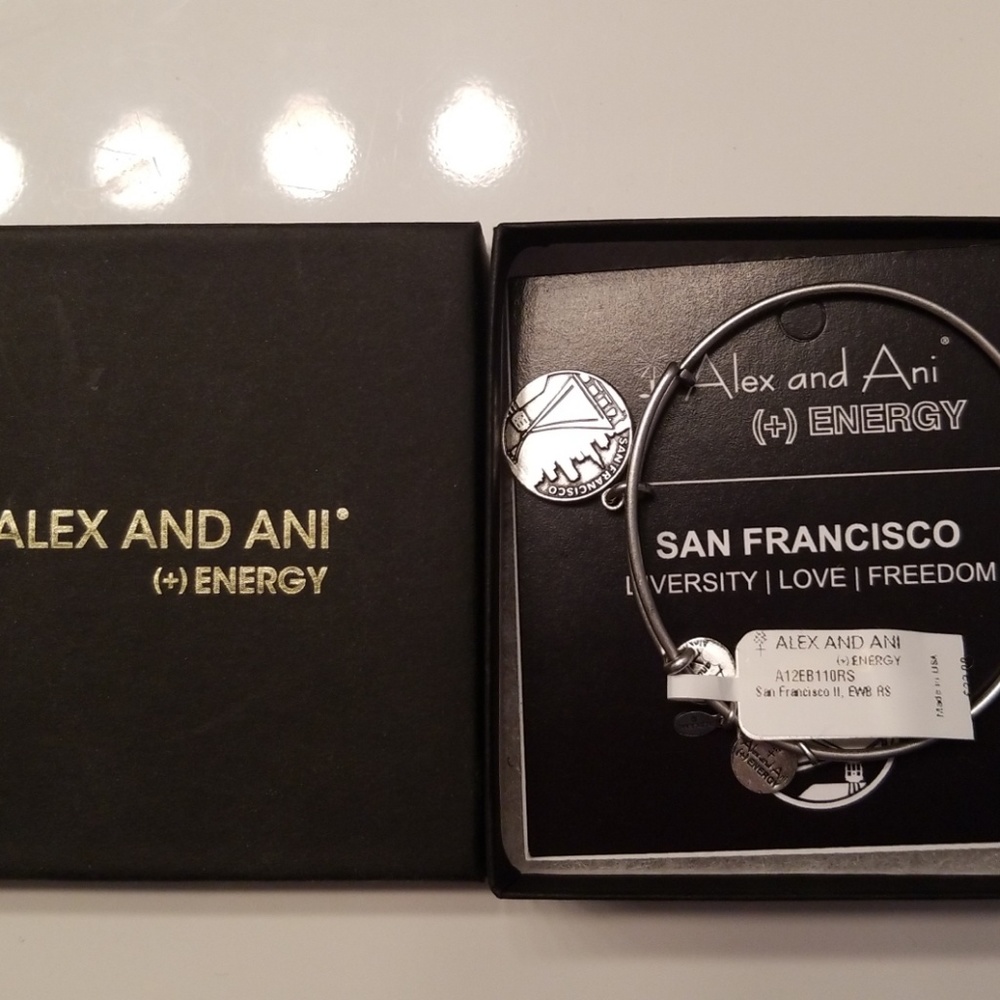 Alex and Ani San Francisco bracelet
